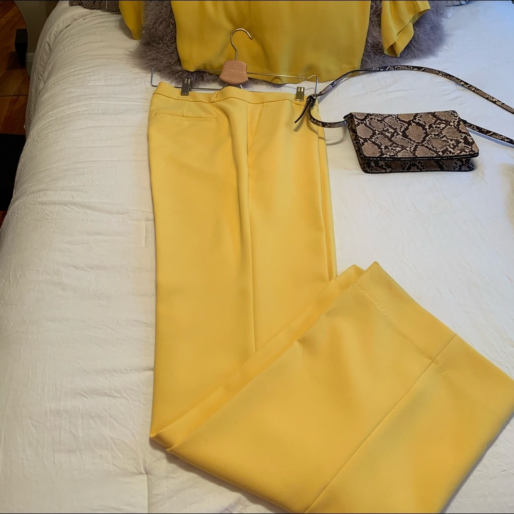 Dress pants